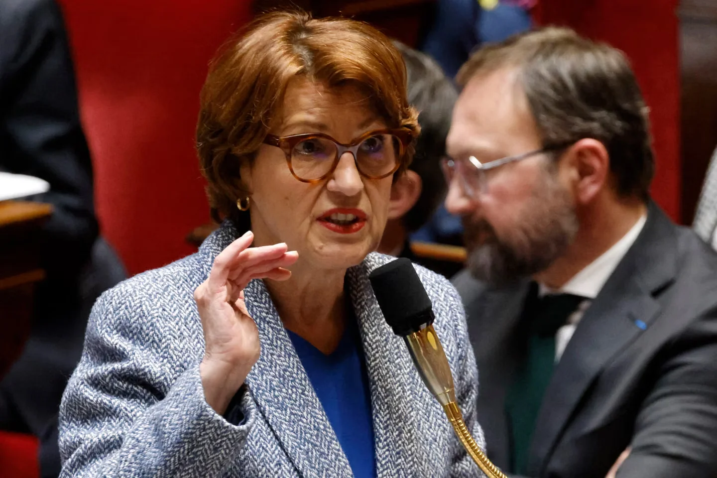La ministre de l’agriculture, Annie Genevard, à l’Assemblée nationale, le 4 mars 2025.